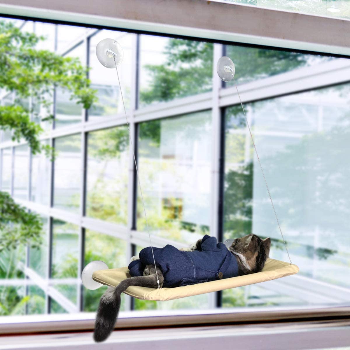 猫吊床3.jpg