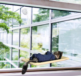 Cat Hammock Window Perch for large Cat Safety Bed for indoor Holds Up to 30lbs